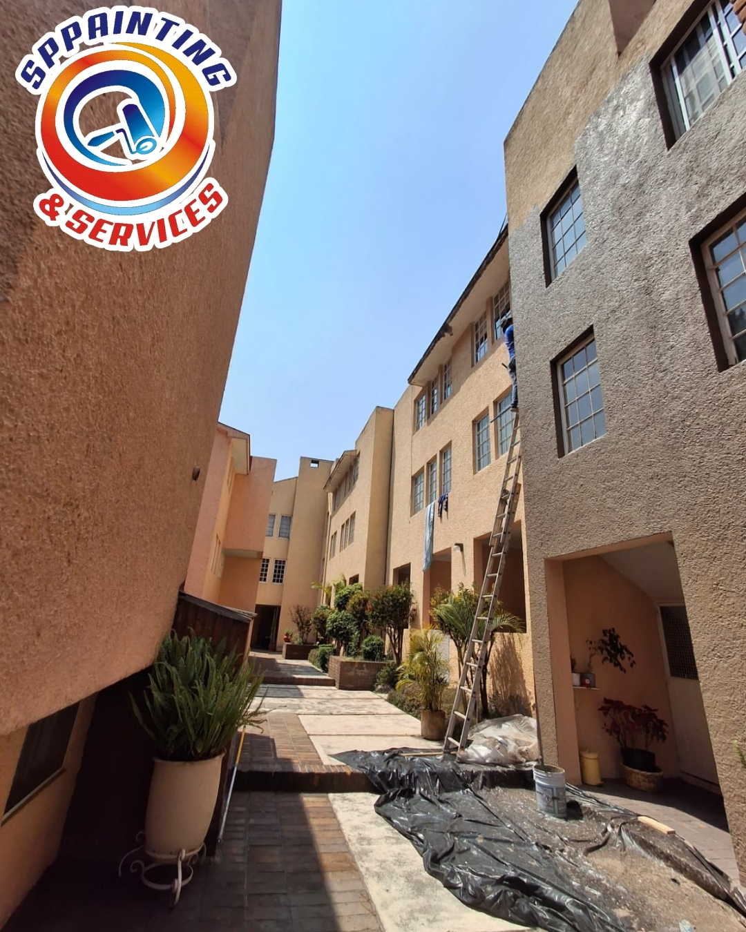 Pintores Profesionales