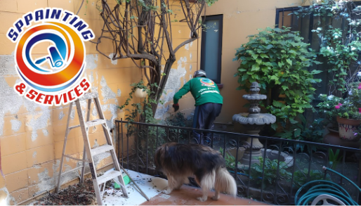 Preparación de pared